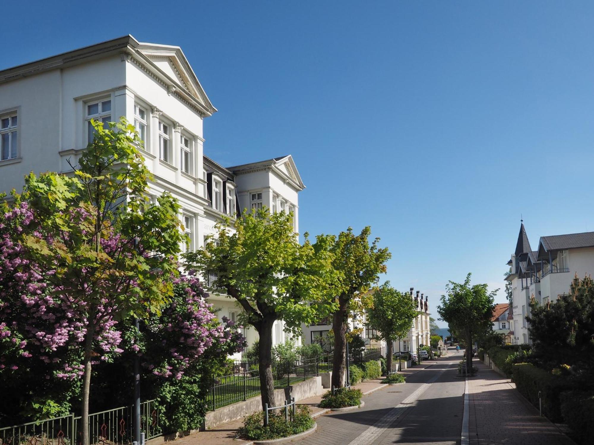 Villa Bismarckshoehe Wohnung Clara 塞巴特黑灵斯多夫 外观 照片